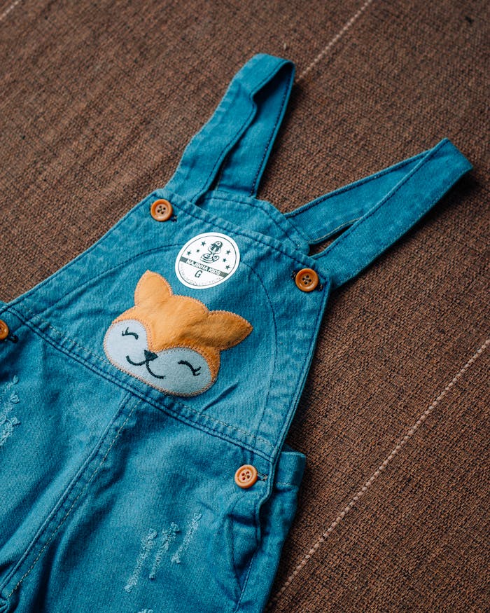 Charming baby blue dungarees featuring an adorable fox patch, perfect for stylish kids' fashion.